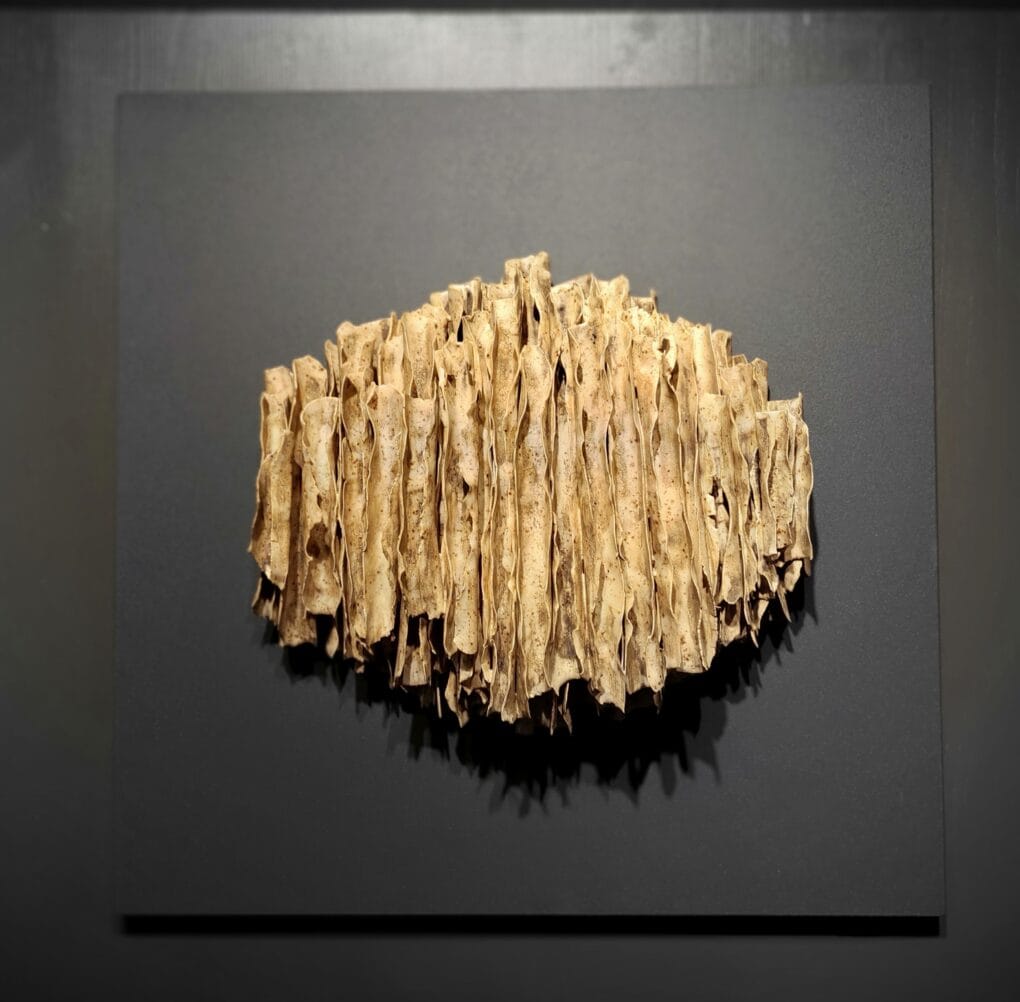 sülünez eski kağıt