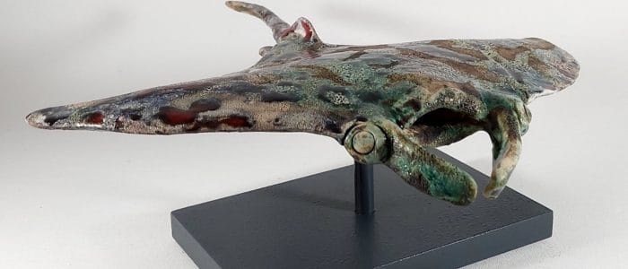 Manta ray